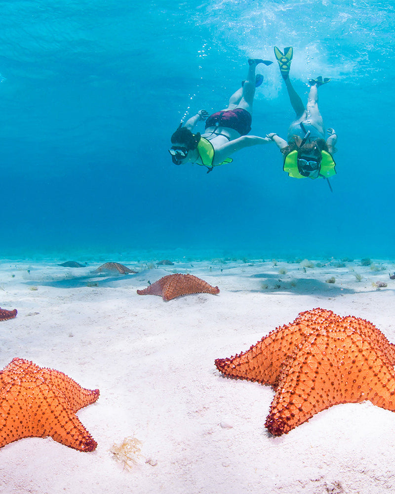 Caribbean Dream – 6 Hours of Magic